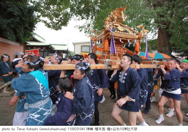 氷川神社例大祭2011 幡本西 1109231941 神輿 幡本西 幡ヶ谷氷川神社大祭 photo