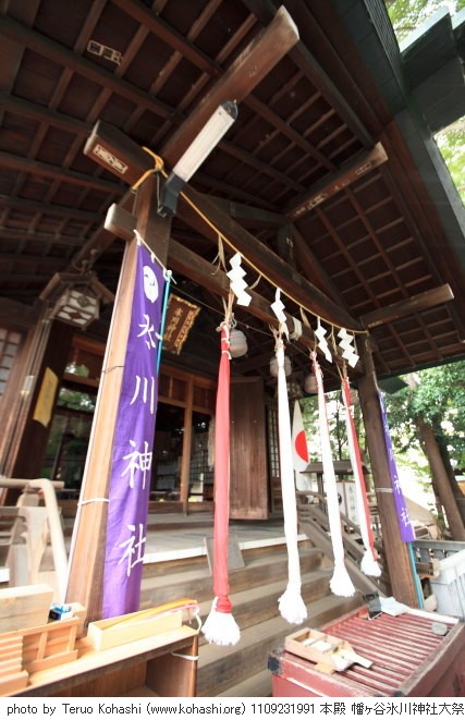 氷川神社例大祭2011 本殿、里神楽 1109231991 本殿 幡ヶ谷氷川神社大祭 photo