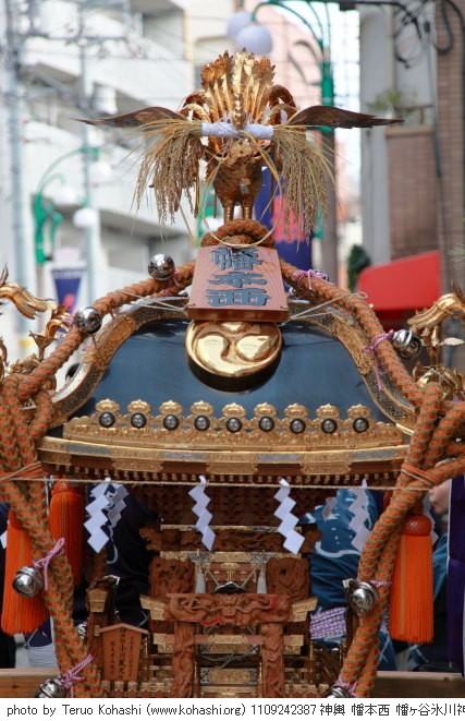 幡ヶ谷氷川神社例大祭 1109242387 神輿 幡本西 幡ヶ谷氷川神社大祭 thumbnail