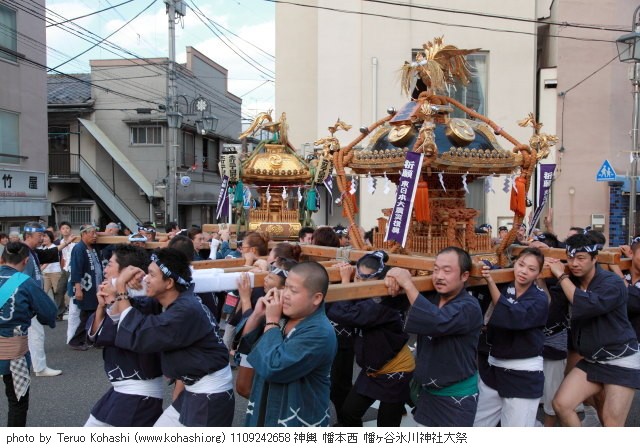 幡ヶ谷氷川神社例大祭 1109242658 神輿 幡本西 幡ヶ谷氷川神社大祭 thumbnail