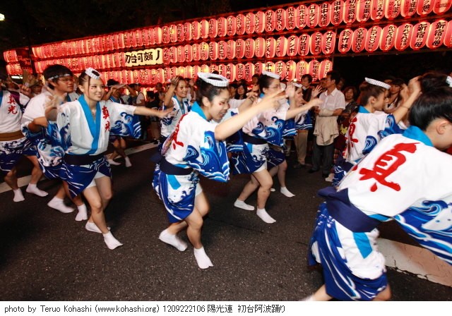 初台阿波踊り 2012年9月22日・23日開催 1209222106 陽光連 初台阿波踊り thumbnail