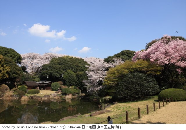 上野公園 ~2009 09047244 日本庭園 東京国立博物館 photo