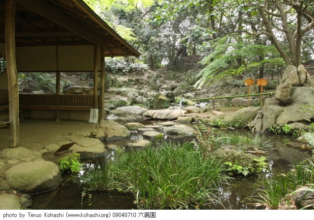 六義園 ~2009 09048710 六義園 photo