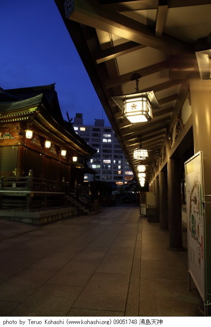 湯島天神、界隈 ~2009 09051748 湯島天神 photo