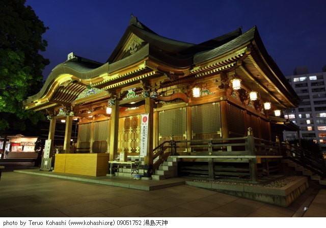 湯島天神、界隈 ~2009 09051752 湯島天神 photo