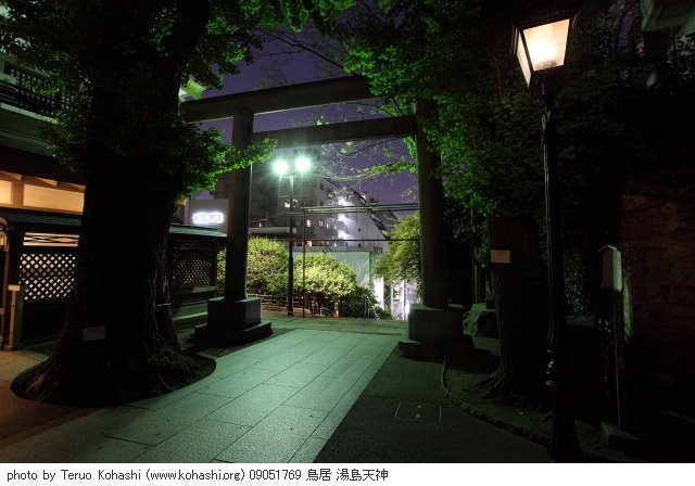 湯島天神、界隈 ~2009 09051769 鳥居 湯島天神 photo