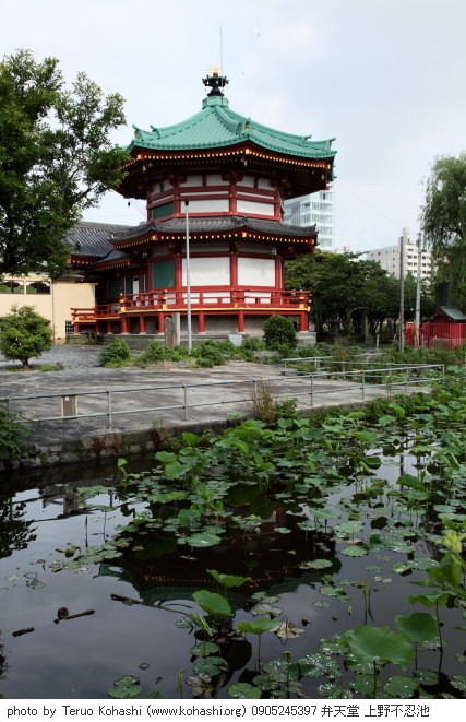 上野公園 ~2009 0905245397 弁天堂 上野不忍池 photo