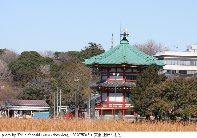 2月の上野公園+東京国立博物館+上野動物園 1002075846 弁天堂 上野不忍池 thumbnail