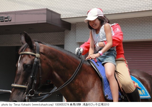 湯島・ちびっ子広場 2010 1009053274 乗馬体験 湯島ちびっ子広場2010 thumbnail