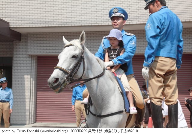 湯島・ちびっ子広場 2010年9月5日 1009053289 乗馬体験 湯島ちびっ子広場2010 photo