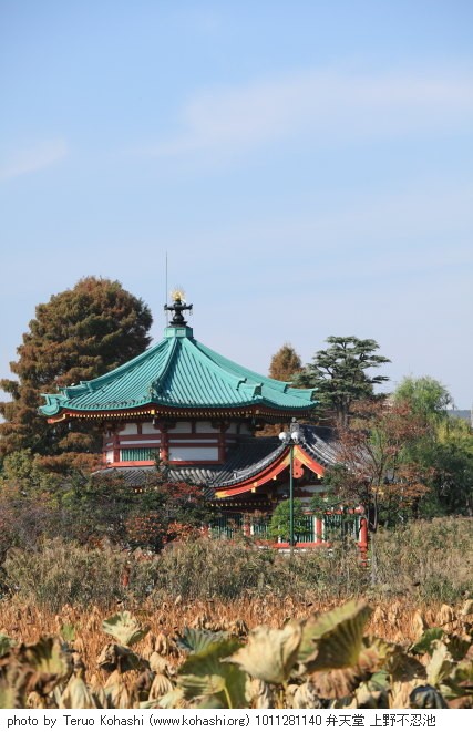 上野公園 2010 1011281140 弁天堂 上野不忍池 thumbnail