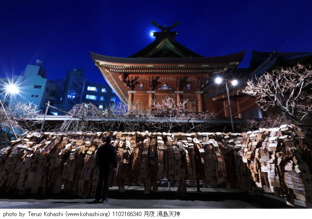 湯島天神、界隈 2011 1102166340 月夜 湯島天神 photo