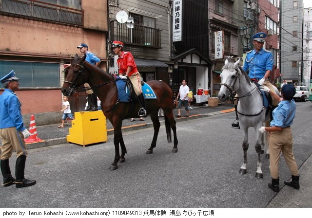湯島・ちびっ子広場 2011 1109049313 乗馬体験 湯島・ちびっ子広場 thumbnail