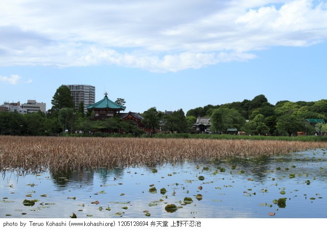 上野公園 2012 1205128694 弁天堂 上野不忍池 photo