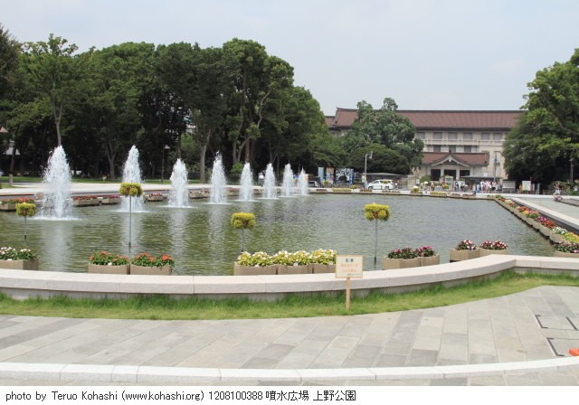 8月の上野公園 1208100388 噴水広場 上野公園 thumbnail
