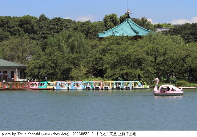 上野公園 2012 1208240553 ボート池と弁天堂 上野不忍池 photo