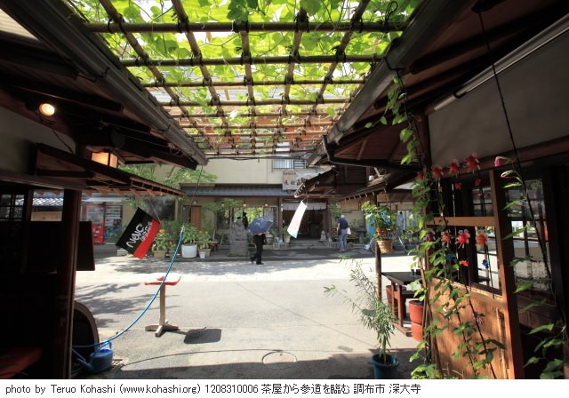 深大寺 2012 1208310006 茶屋から参道を臨む 調布市 深大寺 photo