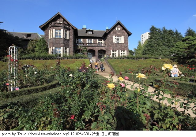 10月の旧古河庭園 1210264938 バラ園 旧古河庭園 thumbnail