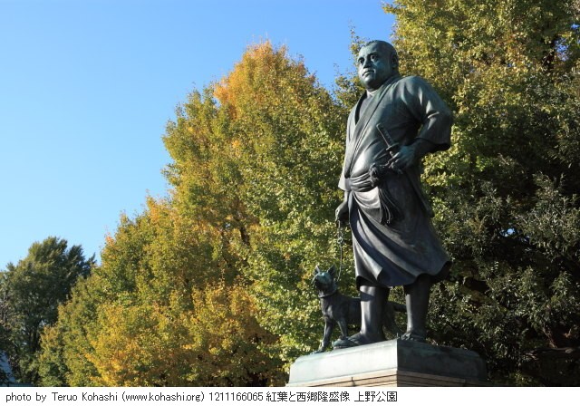 紅葉 1211166065 紅葉と西郷隆盛像 上野公園 thumbnail