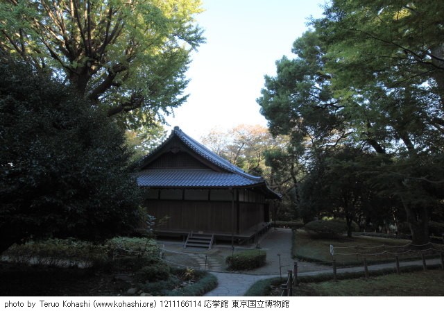 2012年11月16日 1211166114 応挙館 東京国立博物館 photo