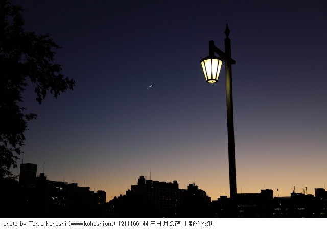 上野公園 2012 1211166144 三日月の夜 上野不忍池 photo