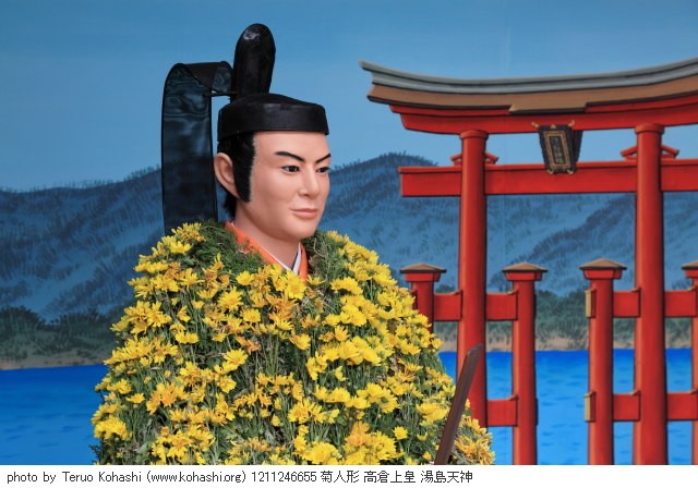 11月の菊・キク 1211246655 菊人形 高倉上皇 湯島天神 thumbnail