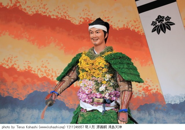 菊・キク 1211246657 菊人形 源義朝 湯島天神 thumbnail
