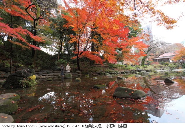 12月の小石川後楽園 1212047806 紅葉 大堰川 小石川後楽園 photo