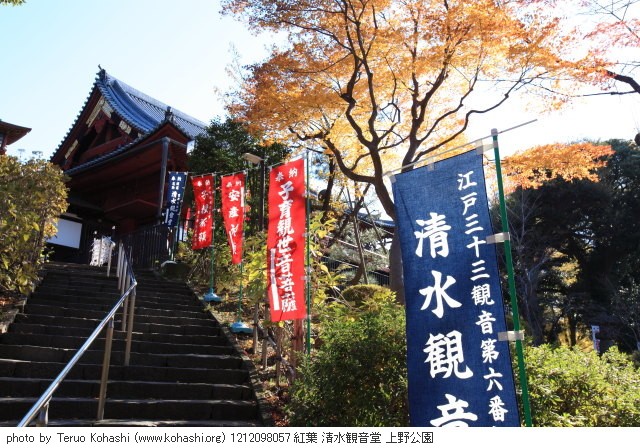 紅葉・銀杏 1212098057 紅葉 清水観音堂 上野公園 thumbnail