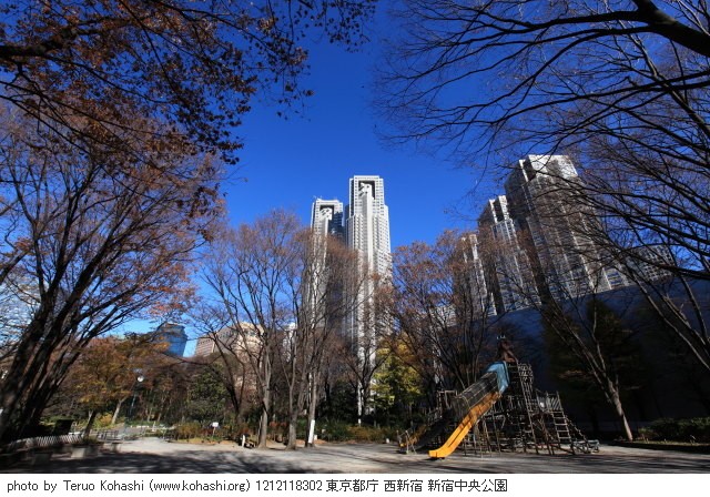 12月 新宿の見頃見所 1212118302 東京都庁 西新宿 新宿中央公園 thumbnail