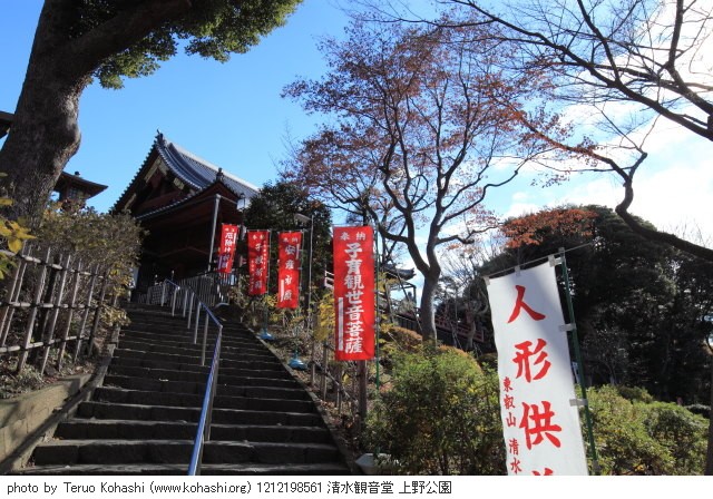 これまでの12月の見頃見所 1212198561 清水観音堂 上野公園 thumbnail