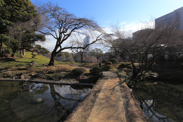 2013年1月12日 1301128887 小石川後楽園 大堰川 渡月橋 文京区後楽 photo