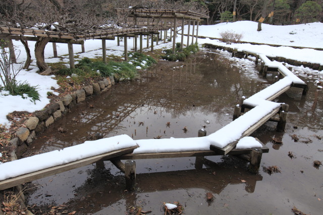 2013年1月16日 1301169625 小石川後楽園 八橋 雪 藤棚 文京区後楽 photo