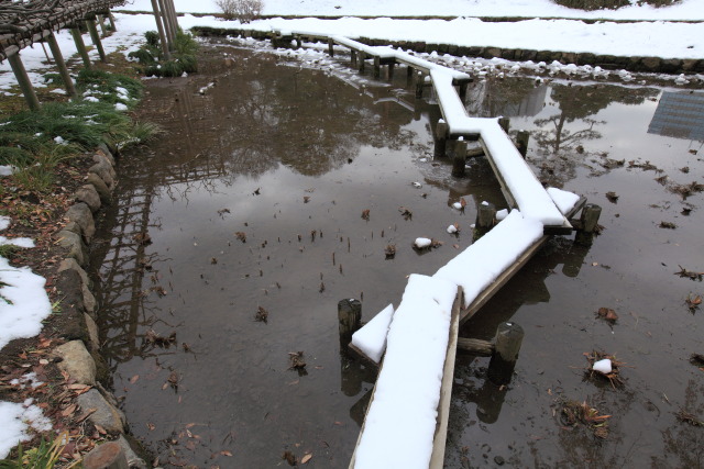 これまでの1月の見頃見所 1301169634 小石川後楽園 八橋 雪 文京区後楽 thumbnail