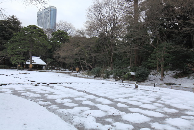 2013年1月16日 1301169650 小石川後楽園 雪 花菖蒲田 九八屋 文京区後楽 photo