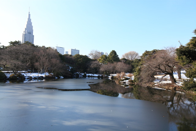 1月の見頃見所 1301169807 新宿御苑 池 氷 高層ビル 新宿区内藤 thumbnail