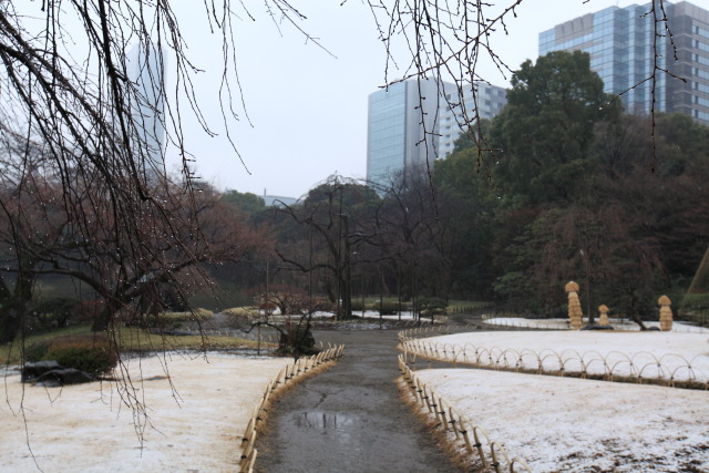 これまでの2月の見頃見所 1302061520 小石川後楽園 道 雪 雨 雪ぼっち 文京区後楽 thumbnail