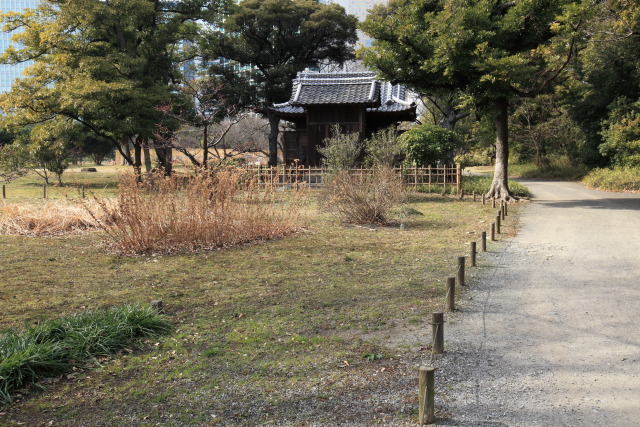 2月の浜離宮恩賜庭園 1302223146 浜離宮恩賜庭園 旧稲生(いなぶ)神社 中央区浜離宮庭園 photo