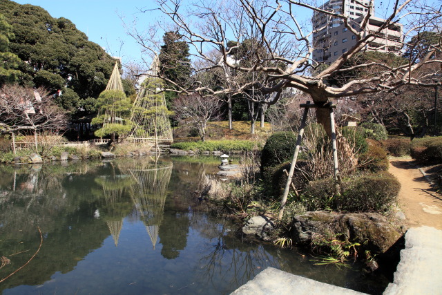雪の日 130306MP4048 甘泉園公園 雪吊り 池 石灯篭 新宿区西早稲田 thumbnail