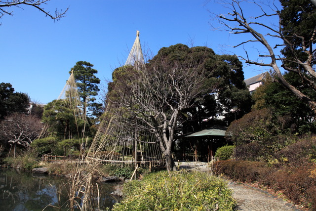 これまでの3月の見頃見所 130306MP4050 甘泉園公園 雪吊り 池 休憩所 新宿区西早稲田 thumbnail