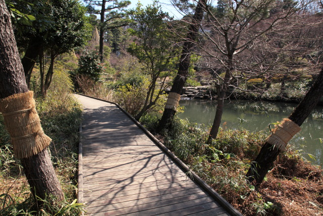 これまでの3月の見頃見所 130306MP4111 甘泉園公園 板の道 池 新宿区西早稲田 thumbnail