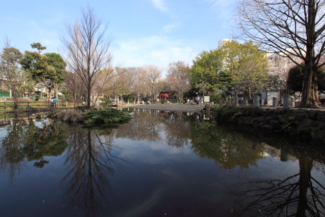 これまでの3月の見頃見所 1303287271 落合公園 新宿区中井 thumbnail