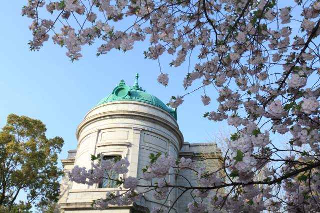 4月の上野公園+東京国立博物館 1304057875 東京国立博物館 一葉桜 表慶館 台東区上野公園 photo