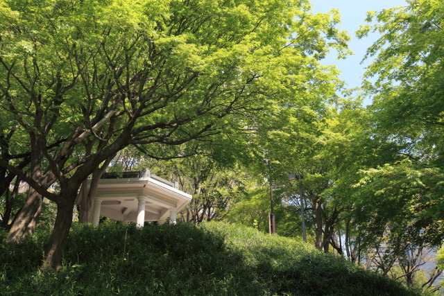 4月の新宿中央公園 1304138570 新宿中央公園 新緑 富士見台 新宿区西新宿 thumbnail