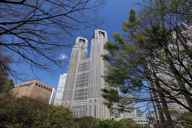 4月の新宿中央公園 1304138603 新宿中央公園 東京都庁本庁舎 新緑 新宿区西新宿 thumbnail