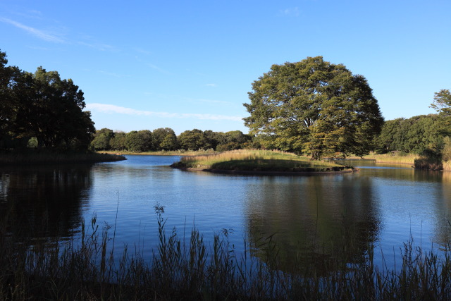 10月の見頃見所 1310119722 昭和記念公園 水鳥の池 立川市 thumbnail
