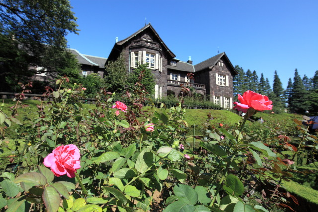 10月の旧古河庭園 1310130019 旧古河庭園 薔薇(バラ) クリスチャンディオール 洋館 北区西ヶ原 photo