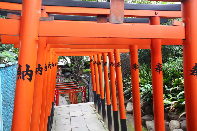 11月の上野公園 1311091879 花園稲荷神社 鳥居 台東区上野公園 photo