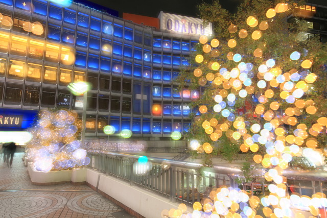 11月の見頃見所 2013 1311142306 thumbnail