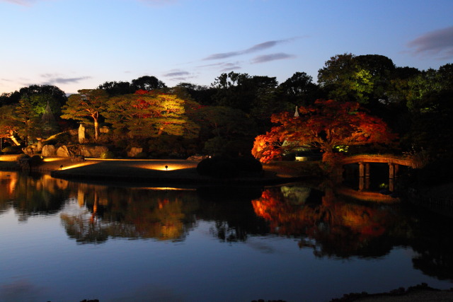 11月の六義園 1311223506 六義園 ライトアップ 紅葉 文京区本駒込 thumbnail